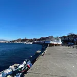 Stella Polaris 2 Sunny