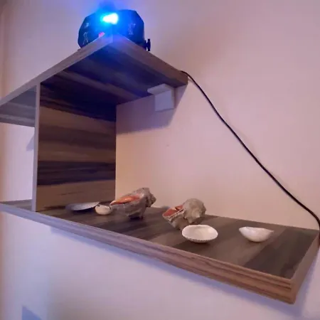 Stella Polaris 2 Sunny Daire